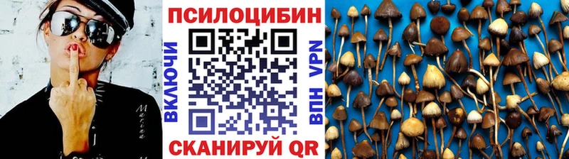сайты даркнета формула  как найти   Переславль-Залесский  Галлюциногенные грибы прущие грибы 